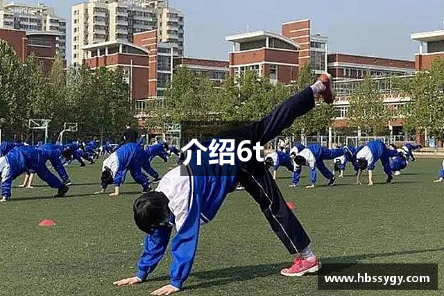 介绍6t